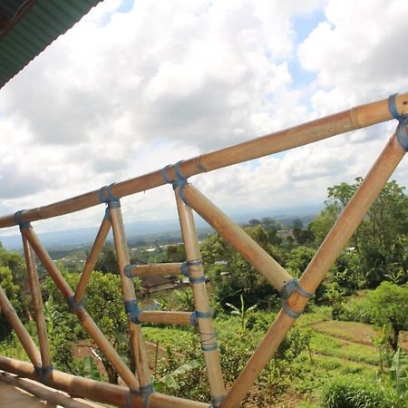 Bali Tree House Pelangi Apartment Bedugul  Exterior foto