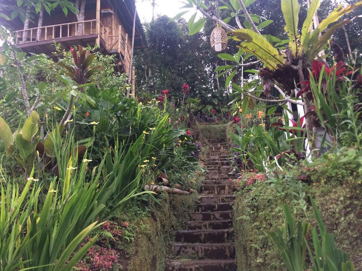 Bali Tree House Pelangi Apartment Bedugul  Exterior foto