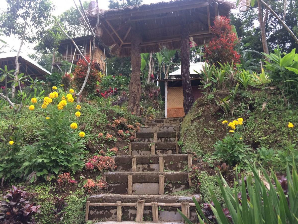 Bali Tree House Pelangi Apartment Bedugul  Exterior foto