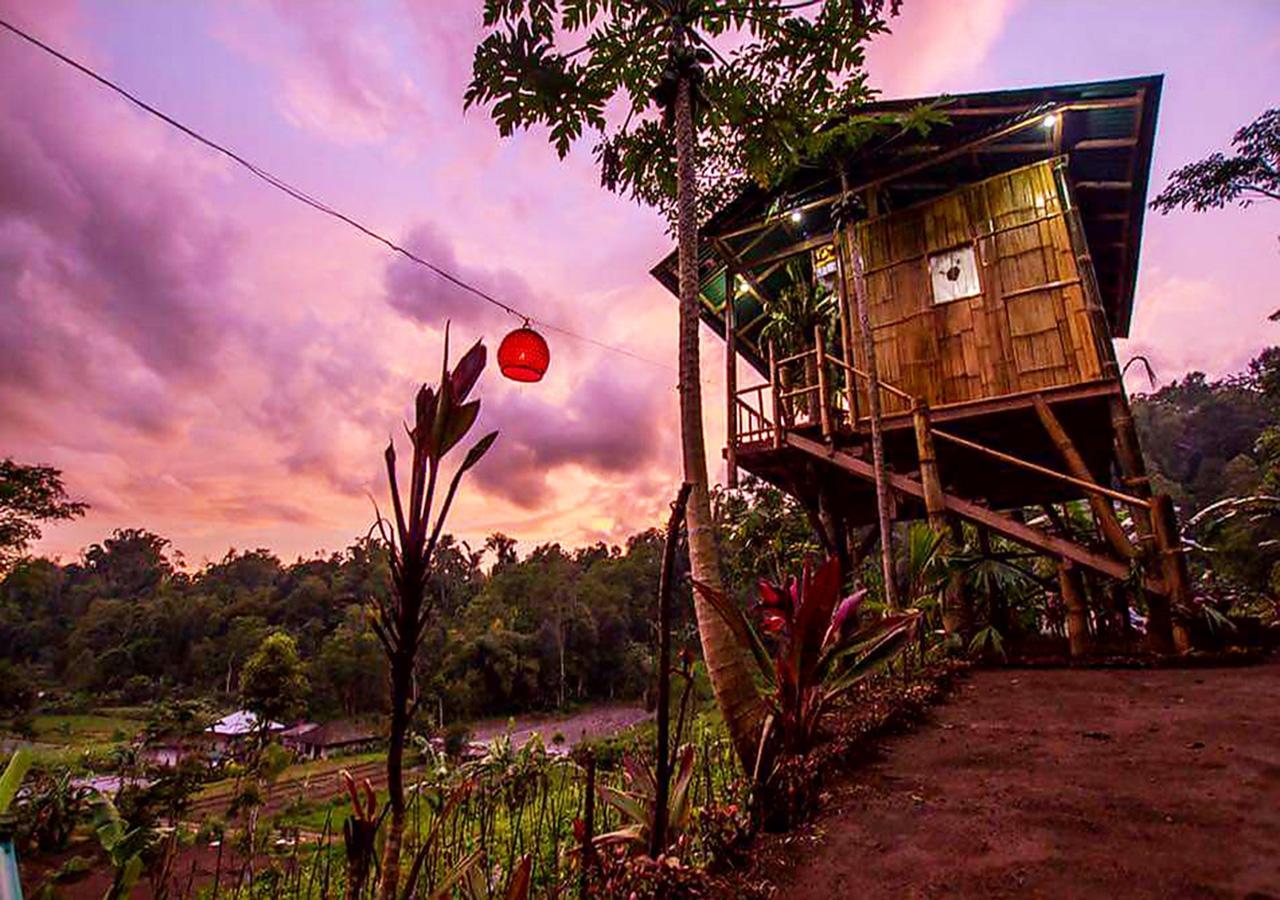 Bali Tree House Pelangi Apartment Bedugul  Exterior foto