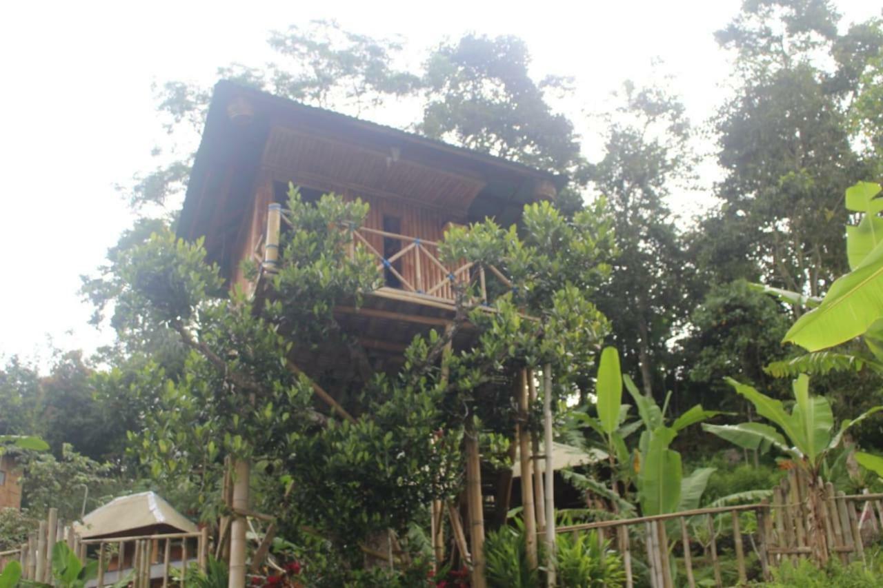 Bali Tree House Pelangi Apartment Bedugul  Exterior foto