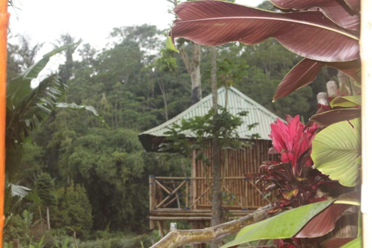 Bali Tree House Pelangi Apartment Bedugul  Exterior foto