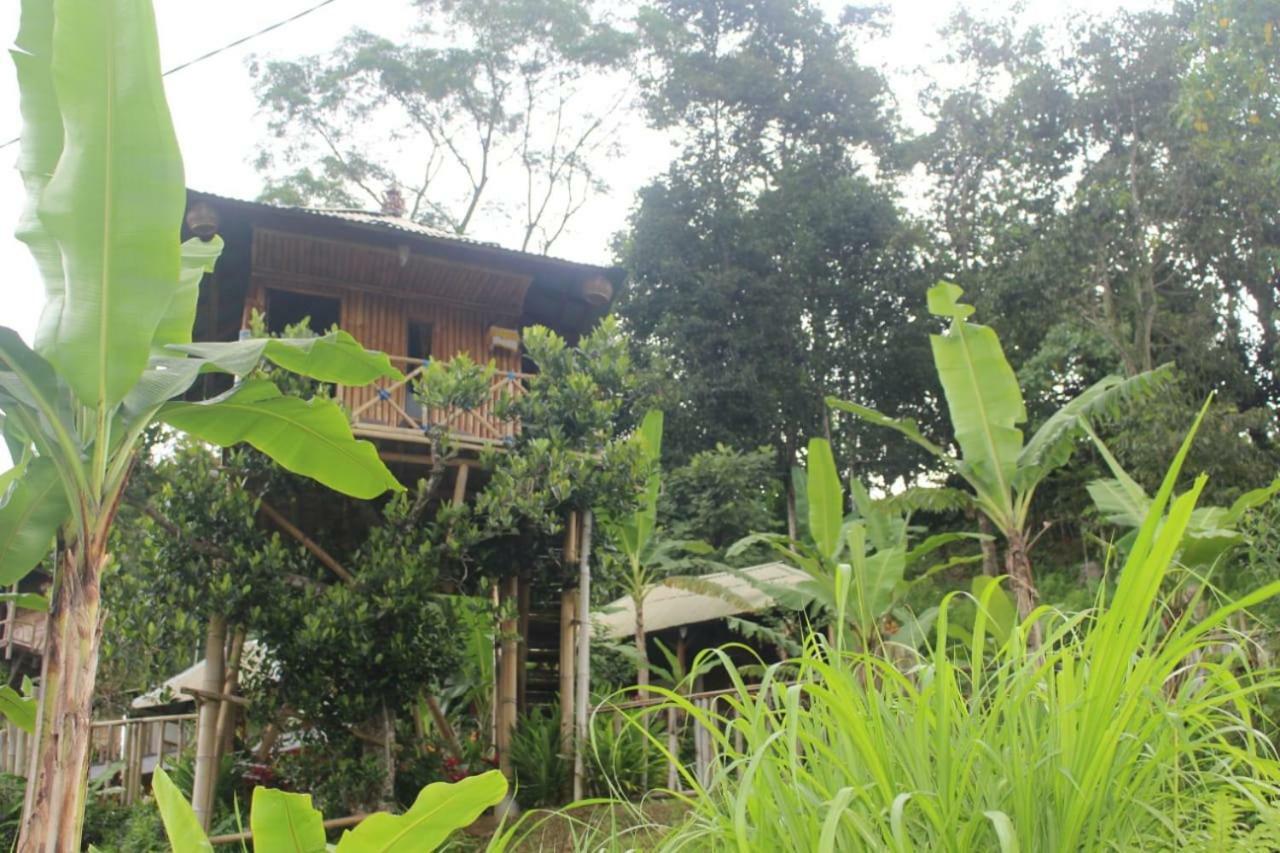 Bali Tree House Pelangi Apartment Bedugul  Exterior foto