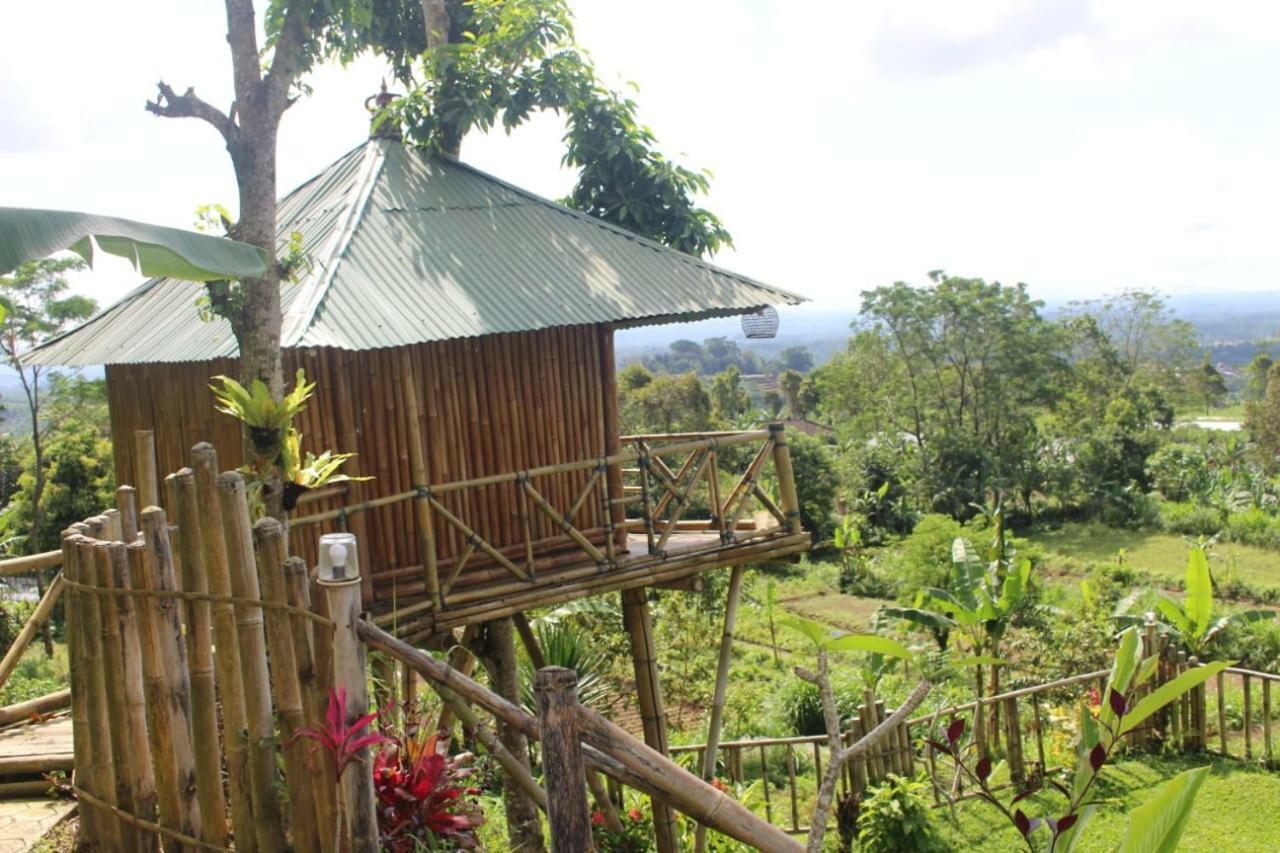 Bali Tree House Pelangi Apartment Bedugul  Exterior foto