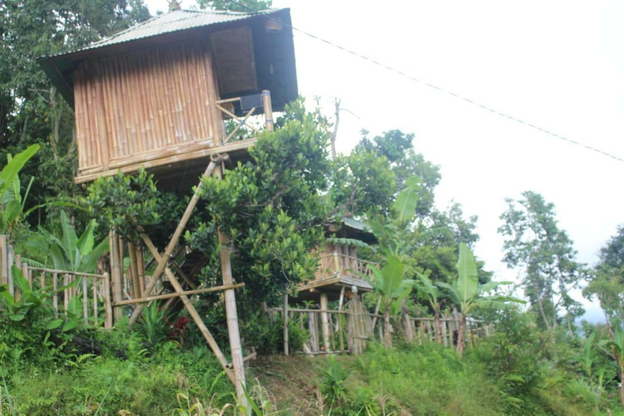 Bali Tree House Pelangi Apartment Bedugul  Exterior foto