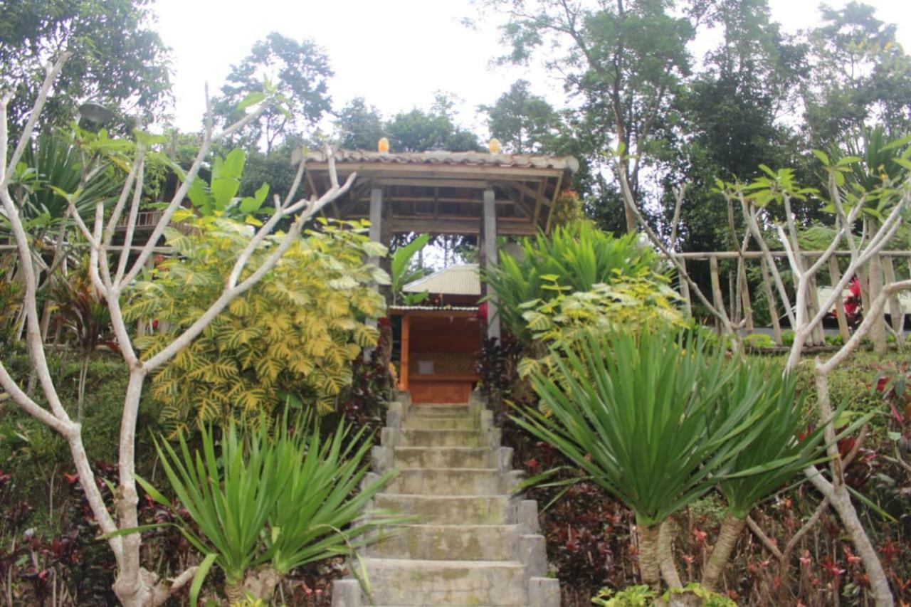Bali Tree House Pelangi Apartment Bedugul  Exterior foto
