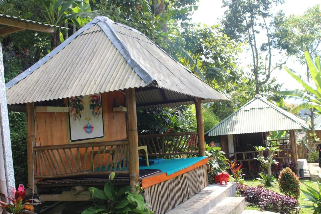 Bali Tree House Pelangi Apartment Bedugul  Exterior foto