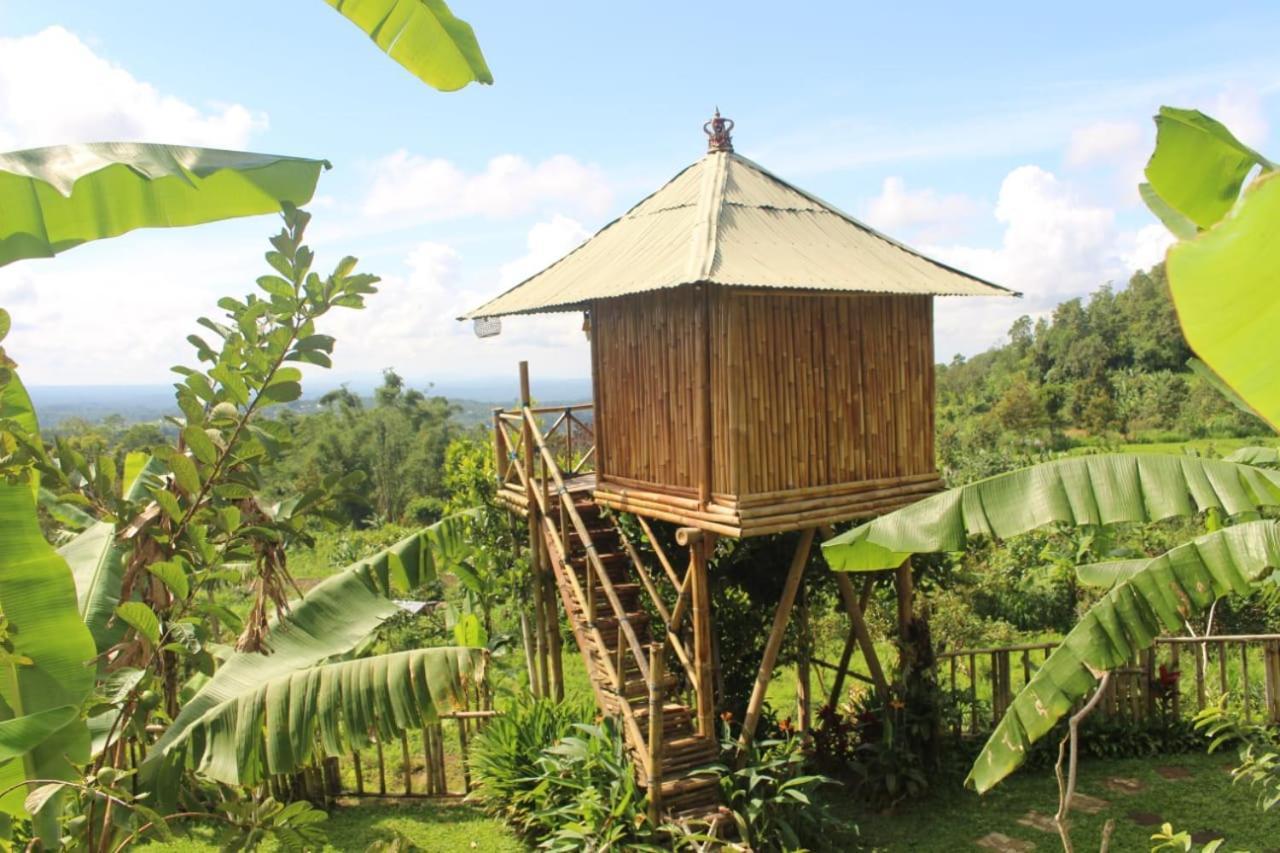 Bali Tree House Pelangi Apartment Bedugul  Exterior foto