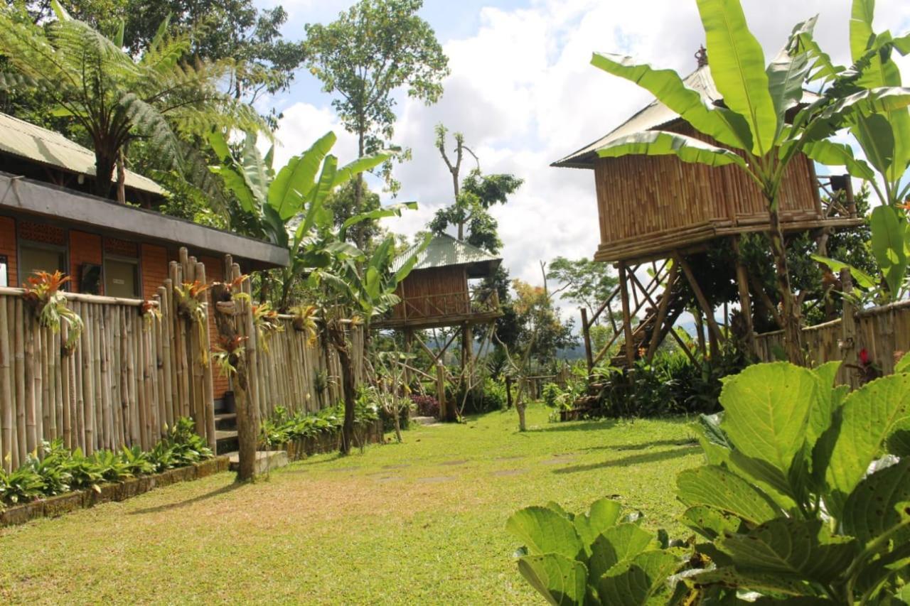 Bali Tree House Pelangi Apartment Bedugul  Exterior foto