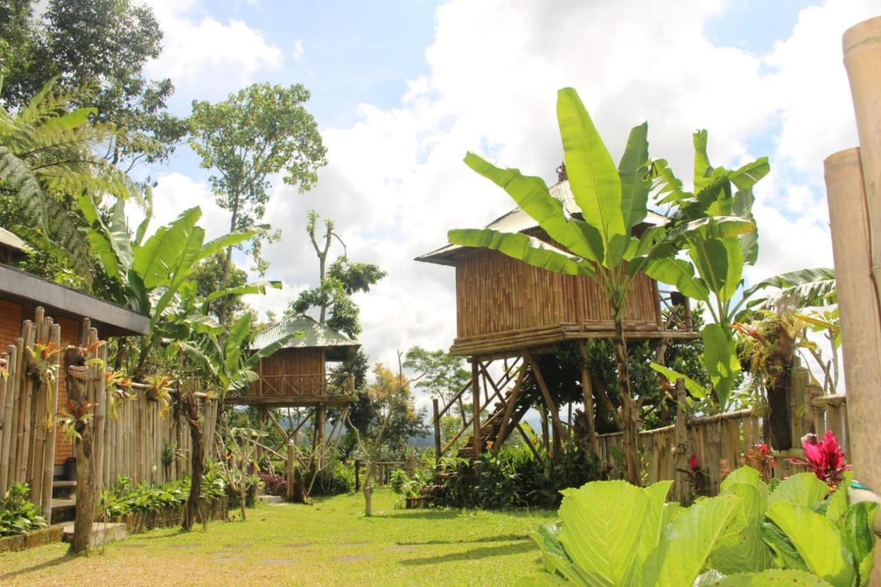 Bali Tree House Pelangi Apartment Bedugul  Exterior foto