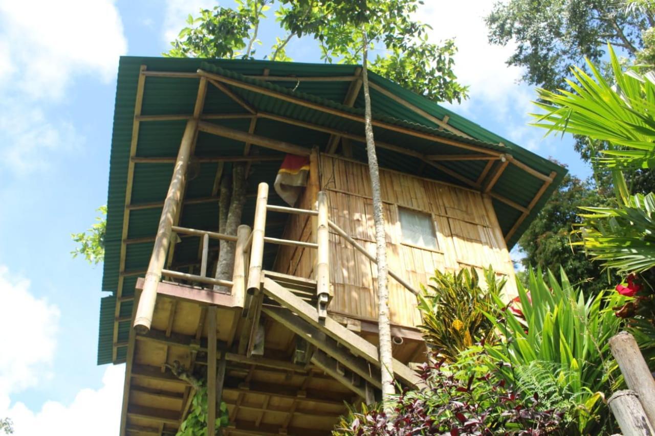 Bali Tree House Pelangi Apartment Bedugul  Exterior foto
