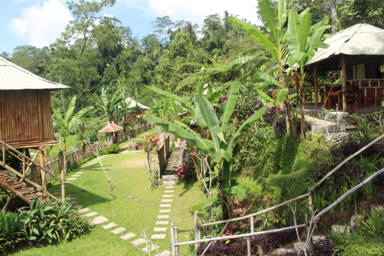 Bali Tree House Pelangi Apartment Bedugul  Exterior foto