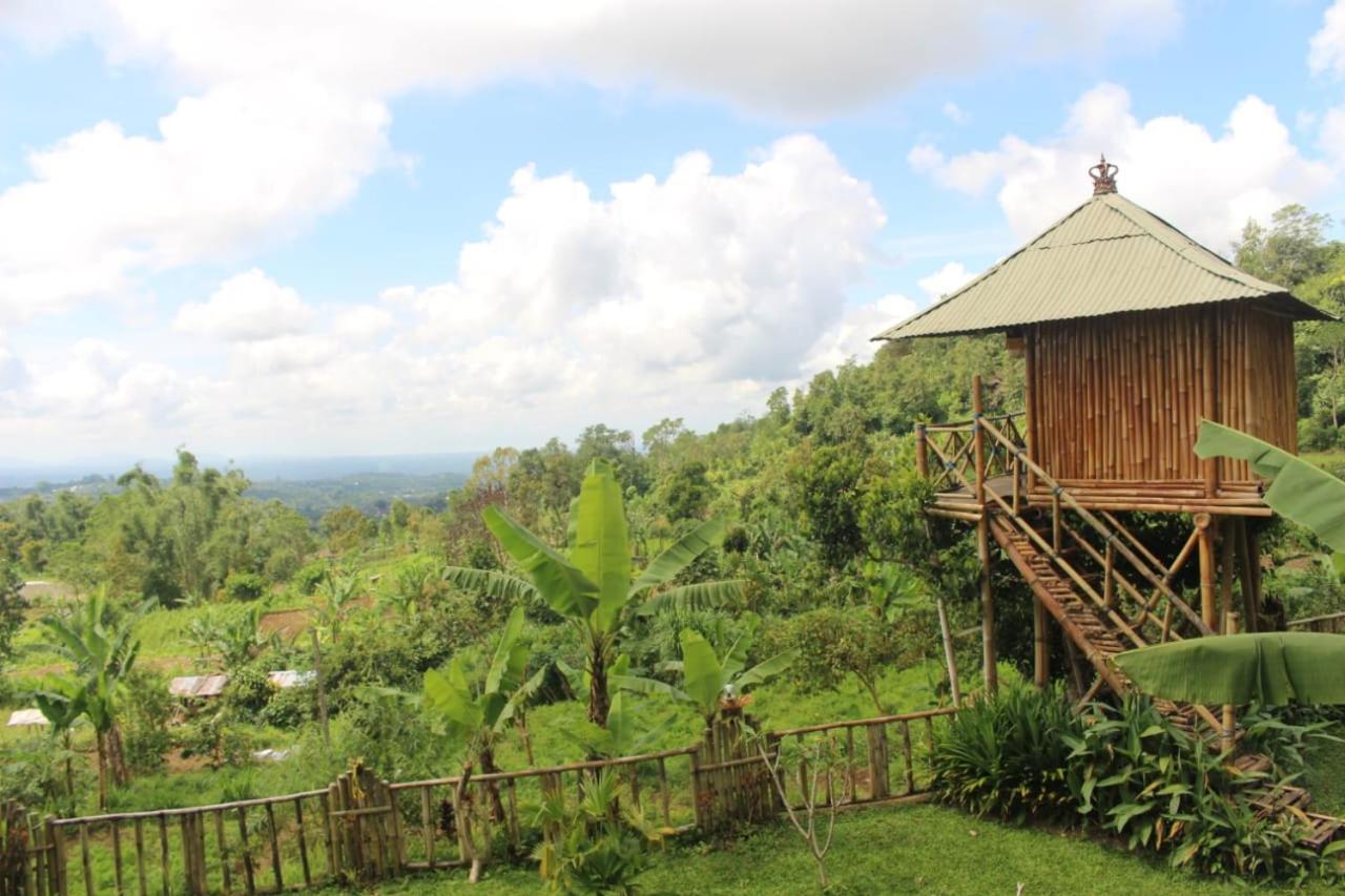 Bali Tree House Pelangi Apartment Bedugul  Exterior foto