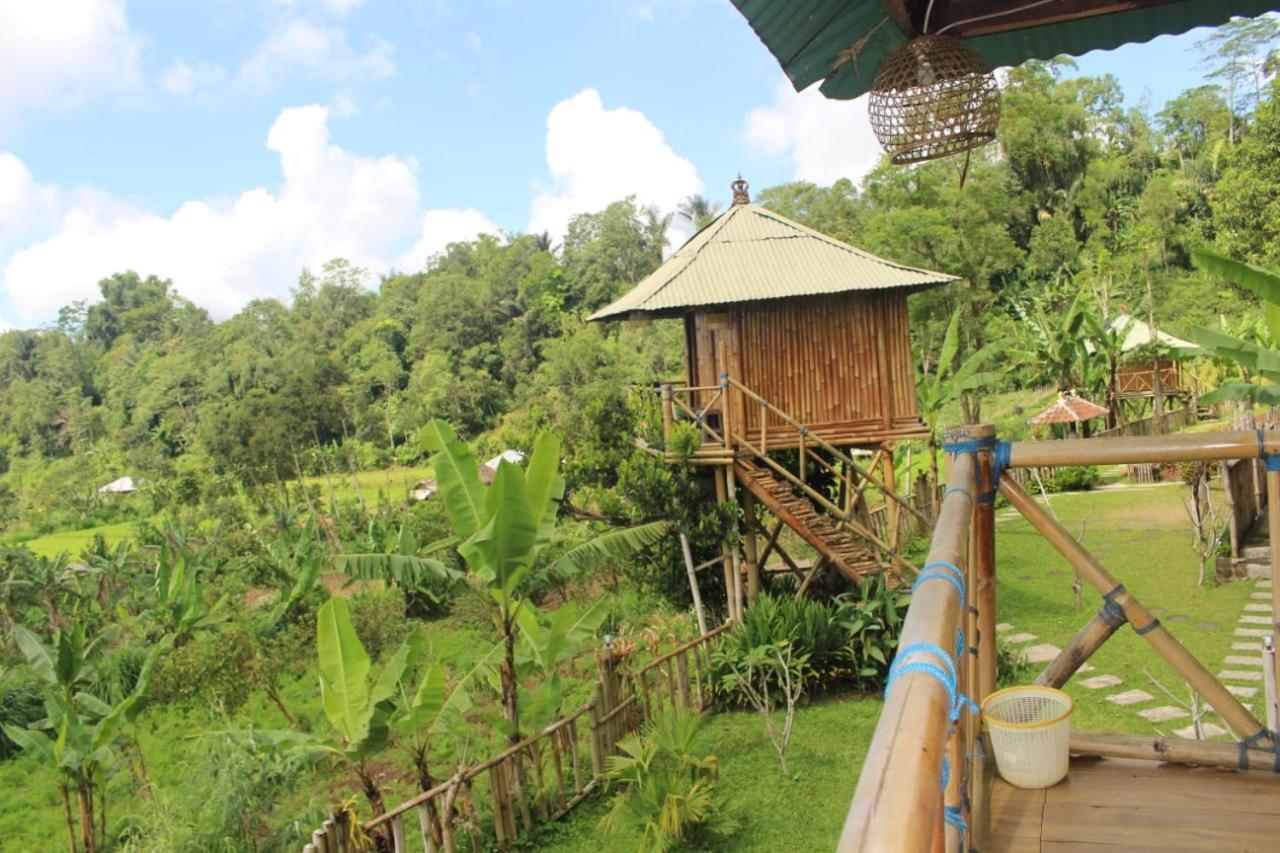 Bali Tree House Pelangi Apartment Bedugul  Exterior foto