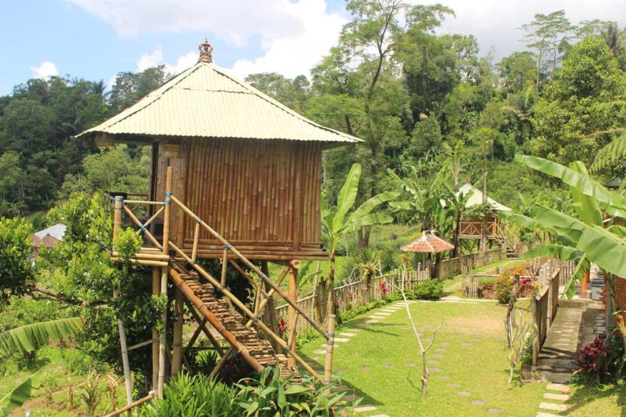 Bali Tree House Pelangi Apartment Bedugul  Exterior foto