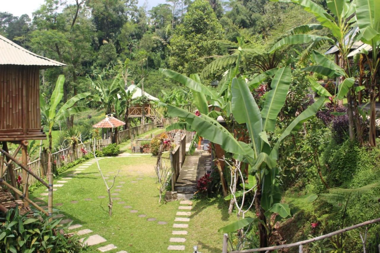 Bali Tree House Pelangi Apartment Bedugul  Exterior foto